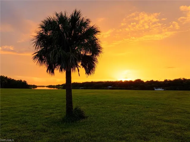 View of nature at dusk