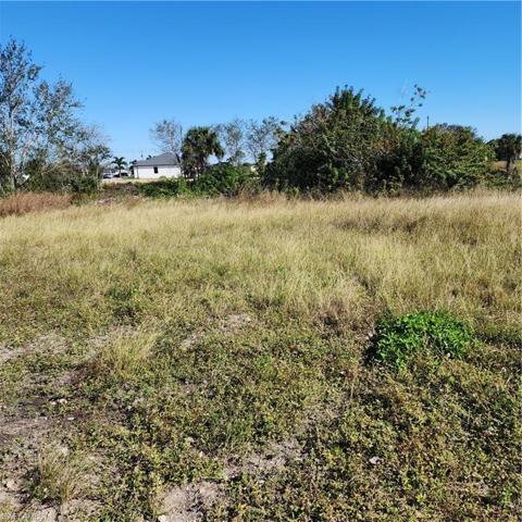 1721 NE 13th AVE, CAPE CORAL FL 33909