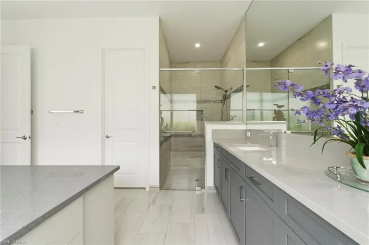 Primary bathroom suite with quartz counters, large walk-in shower, water closet