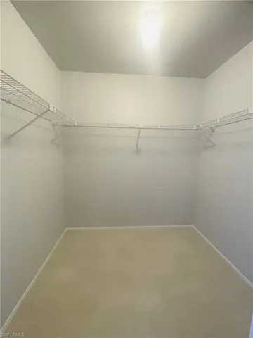 Walk in closet featuring carpet floors