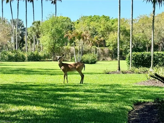 Twin Eagles nature preserve with a deer