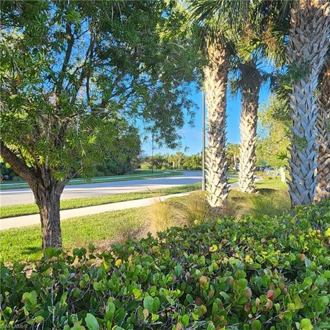 Tree Lined Streets w/Sidewalks
