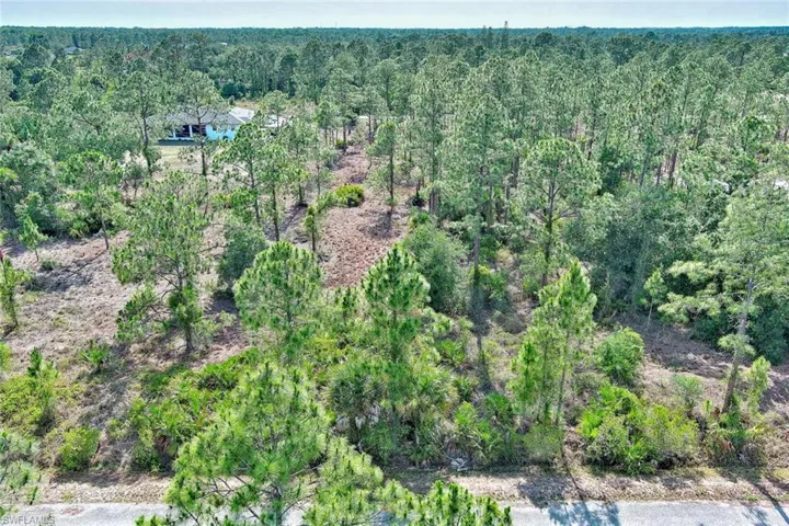 Aerial view of property's location featuring a forest