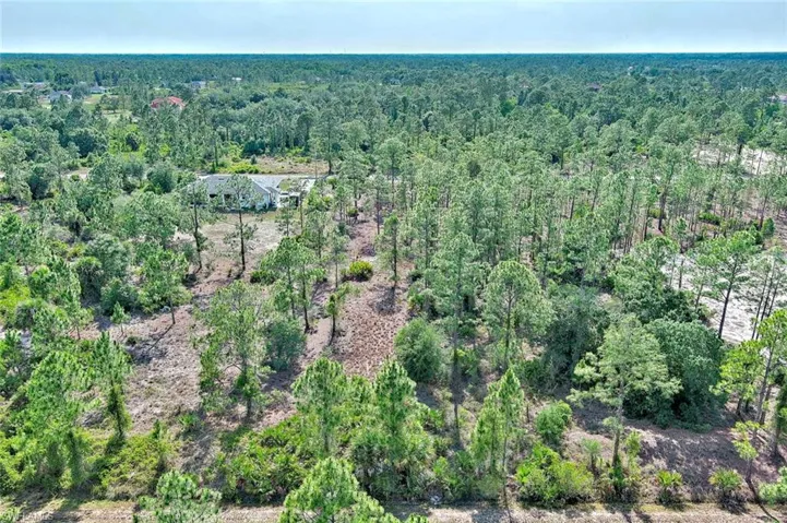 Aerial overview of property's location with a forest