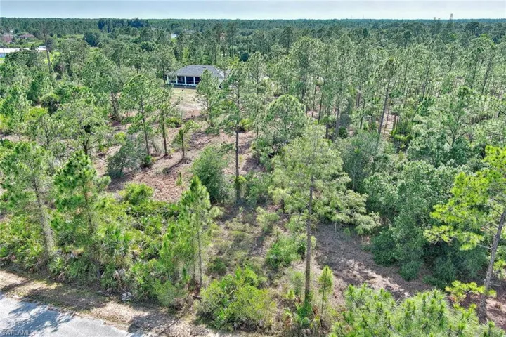 View from above of property featuring a forest
