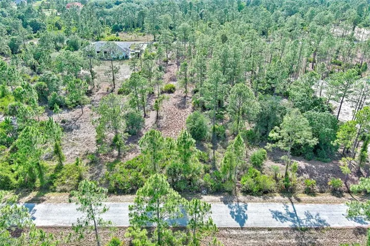 Aerial view of property's location with a forest