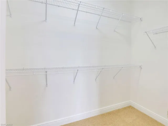 Spacious closet featuring carpet