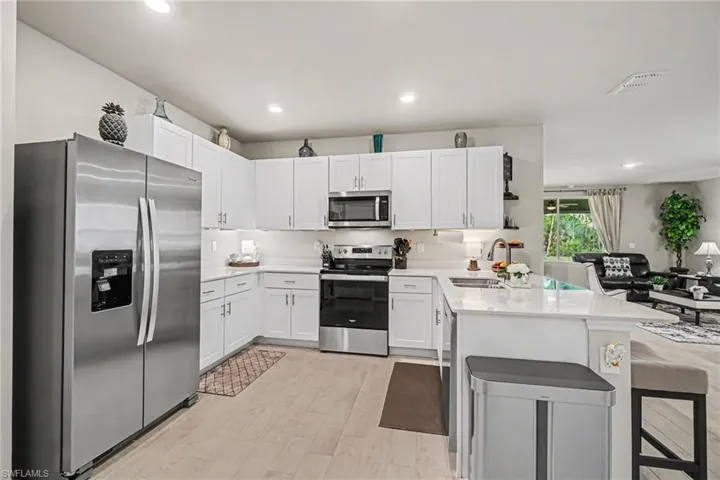 20691  Plumwood  LOOP, North Fort Myers, FL 33917