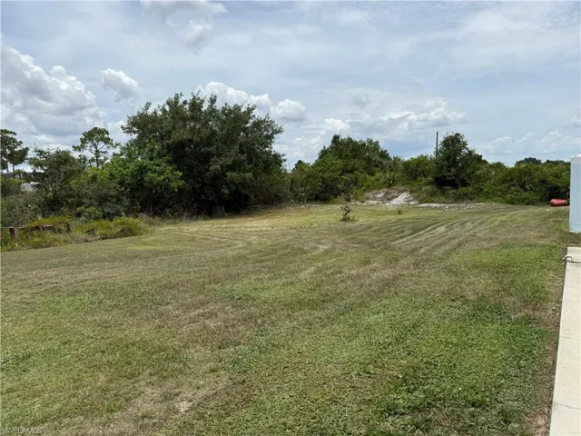Spacious grass lot with natural tree-lined perimeter, offering ample outdoor area