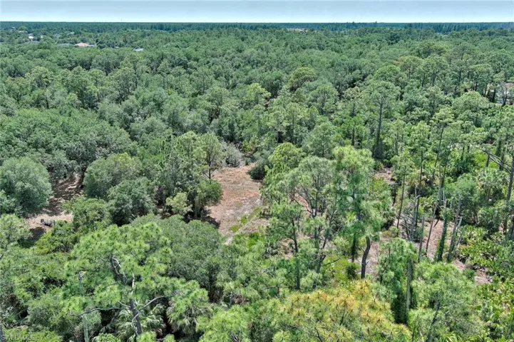 Aerial overview of property's location with a forest