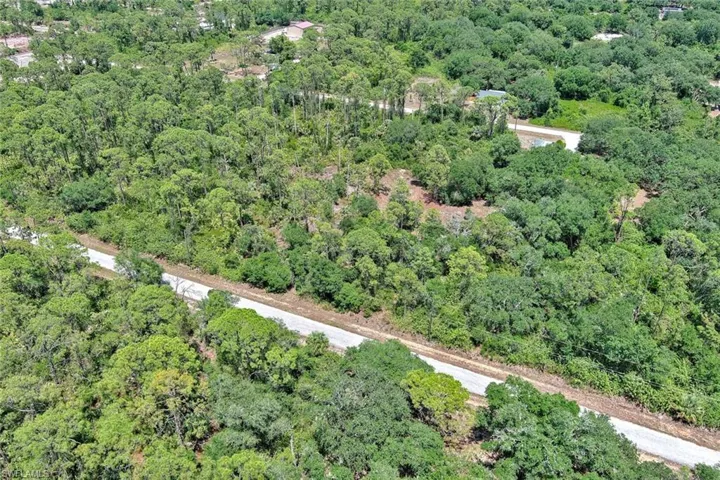 View of property location with a forest