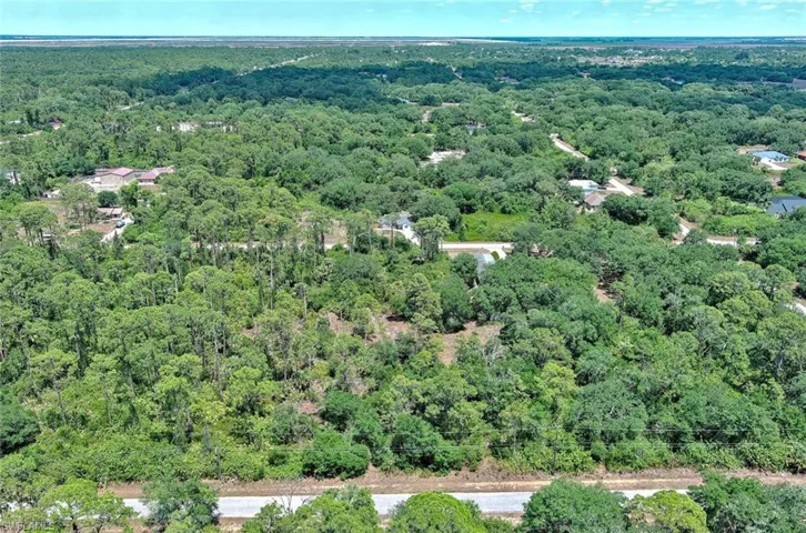 Aerial view of property's location featuring a forest