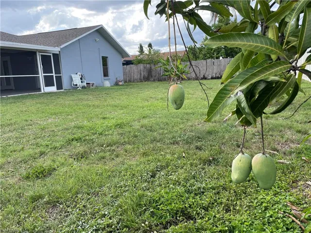 Expansive backyard with a mango tree, green lawn, screened-in patio, and privacy fencing