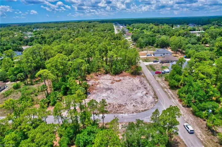 Bird's eye view of a forest