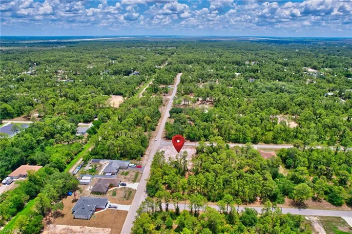 Aerial view of a forest