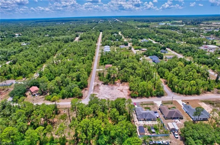 Bird's eye view of a forest