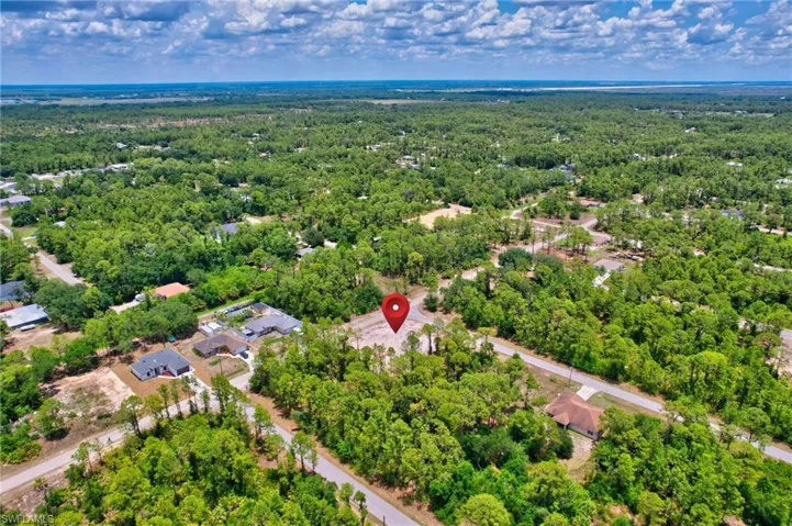 Drone / aerial view of a forest