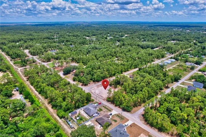 Bird's eye view of a forest