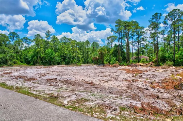 View of undeveloped land