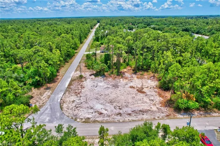 Aerial view of a forest