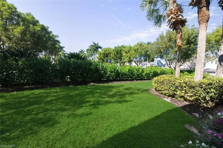 Lush green lawn with mature palm trees and dense privacy hedging