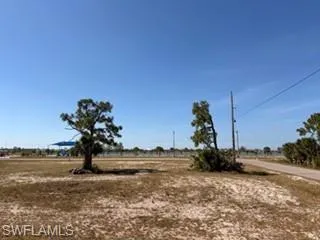 Expansive undeveloped lot featuring mature trees and a clear sky, with a paved road bordering the property