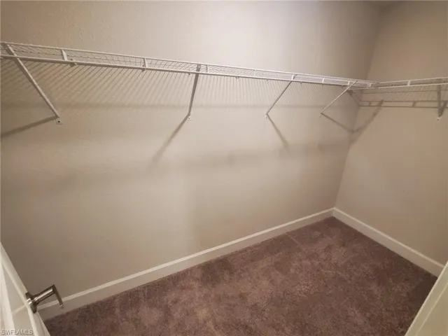Spacious closet with carpet