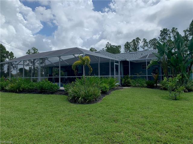 Citrus trees & banana trees