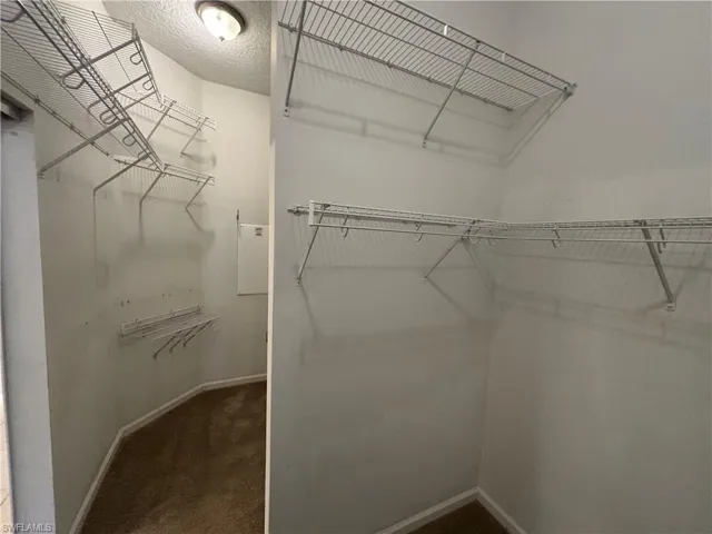 Spacious closet featuring dark carpet