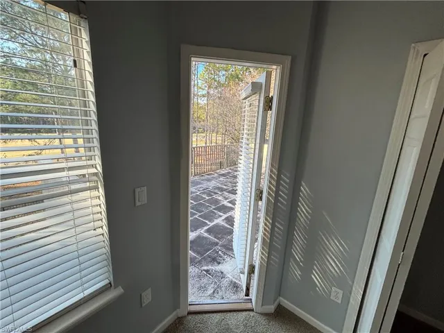 Doorway featuring carpet and healthy amount of natural light