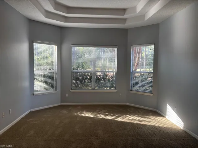 Carpeted spare room with plenty of natural light, a raised ceiling, and a textured ceiling