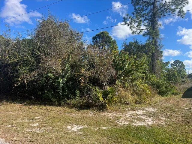 View of undeveloped land
