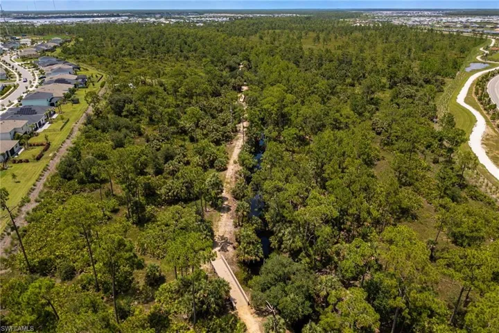 Drone / aerial view of a forest