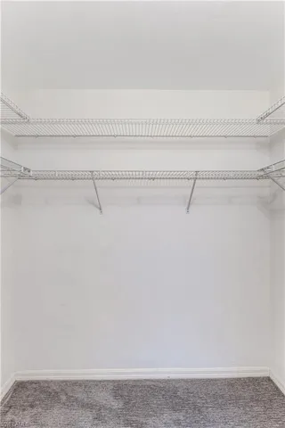 Walk in closet featuring carpet flooring