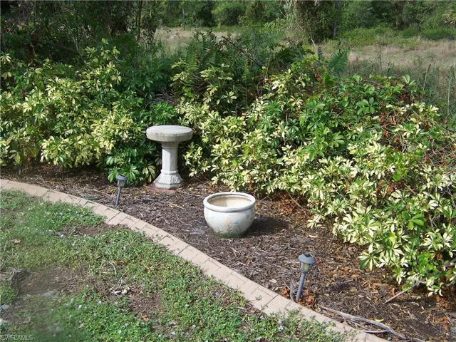 Nice garden