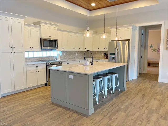 Kitchen featuring a tray ceiling, white cabinets, light hardwood / wood-style floors, and appliances with stainless steel finishes