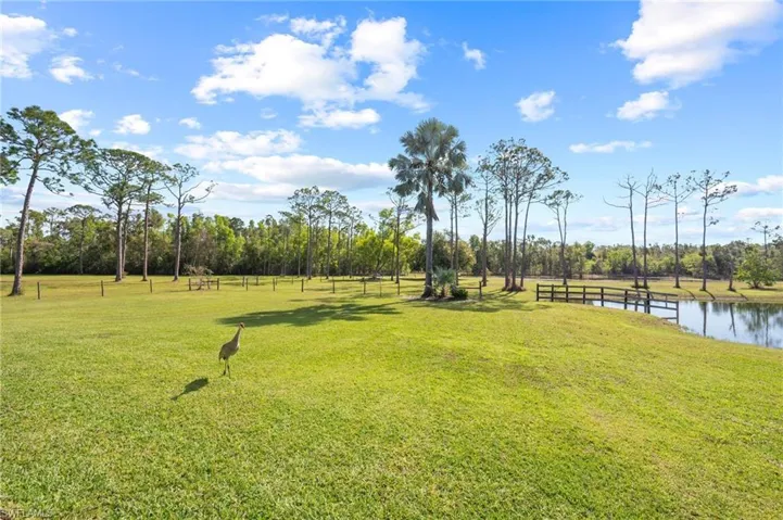 View of yard with a water view