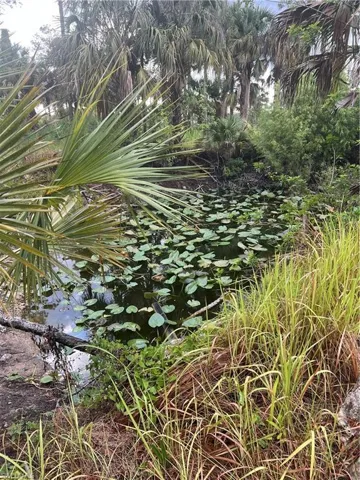 View of nature