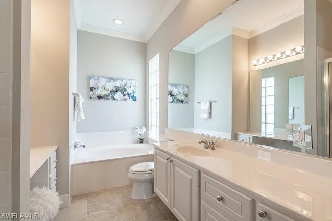 Full bathroom with vanity, toilet, ornamental molding, and shower with separate bathtub