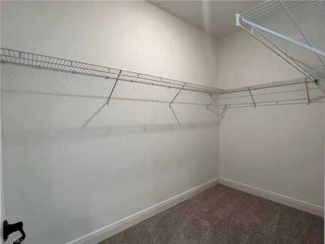 Walk in closet featuring carpet flooring