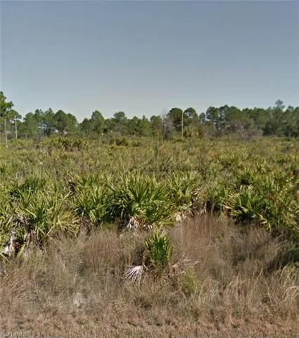 View of local wilderness featuring a rural view