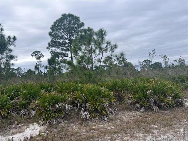 1309 State AVE, LEHIGH ACRES FL 33972