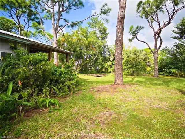 Side of front yard. Cottage in background