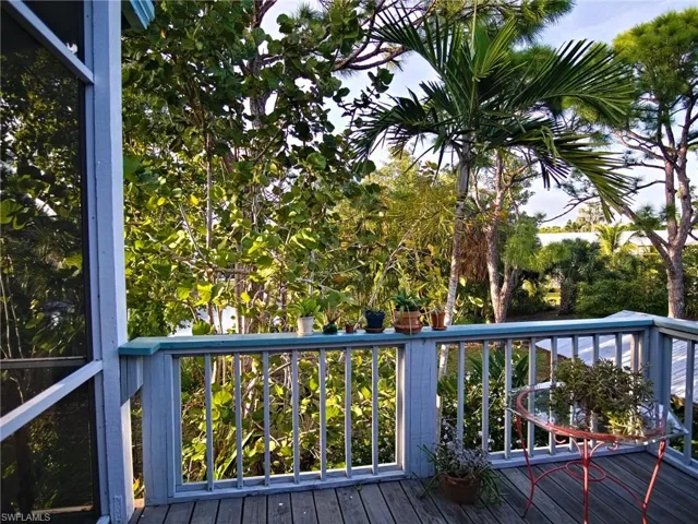 Tree views from the upstairs balcony #1