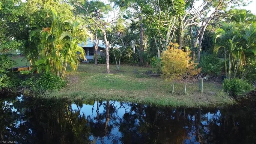 Pond: teeming w/birds, turtles and fish