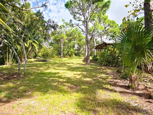 Side yard