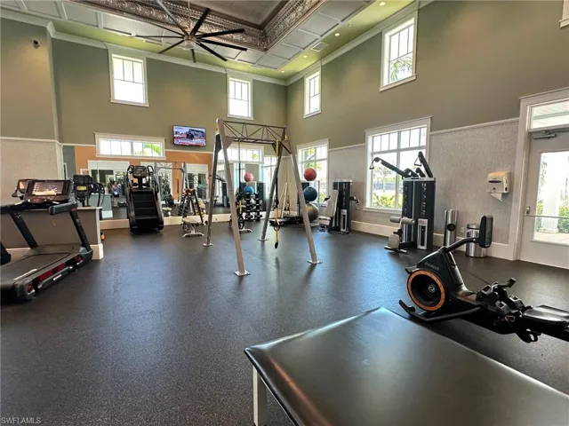 Gym featuring ornamental molding and a healthy amount of sunlight