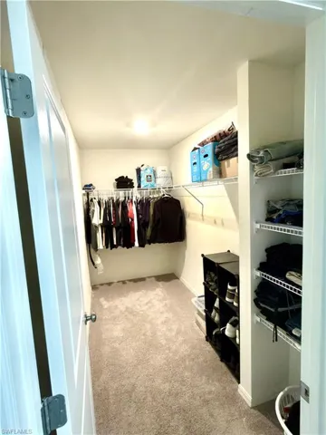 Spacious walk-in closet featuring light-toned carpet, white walls, and built-in wire shelving and hanging rods