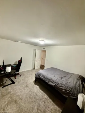 Carpeted room featuring neutral wall tones, a ceiling-mounted light fixture, and white interior doors with dark hardware