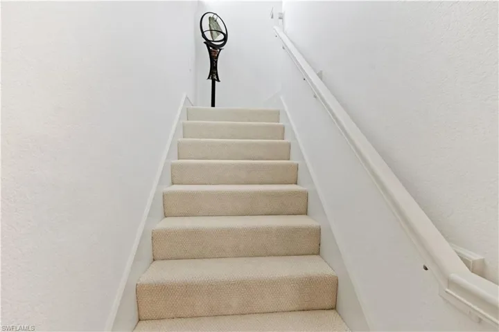 brand new carpet